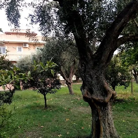 Sofia * Acharavi (Corfu)